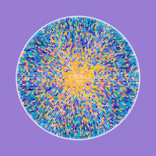Transitions #3713