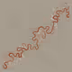 284000433