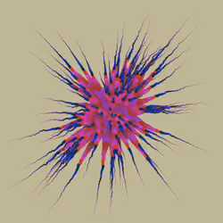Star Flower #66