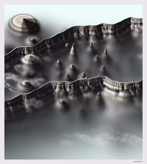 Item #291000072 Media