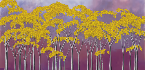 Item #254000107 Media