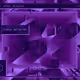 309000325