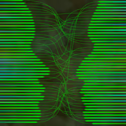 [Dis]entanglement #233