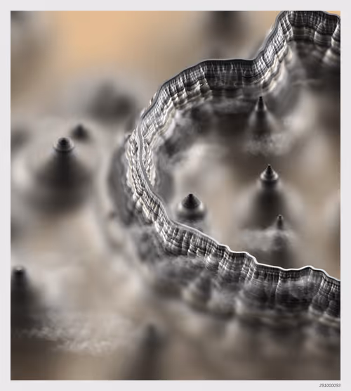 Item #291000093 Media