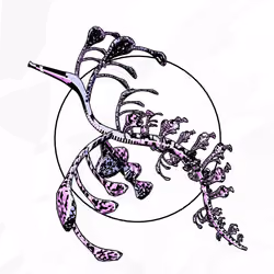 Seadragons #935