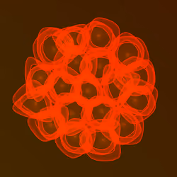 Flowers #2558