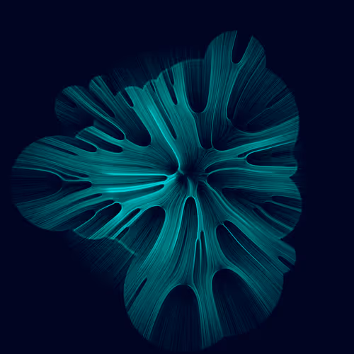 Gravity 16 By Jimmy Herdberg