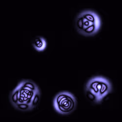 Quantum Collapses #292