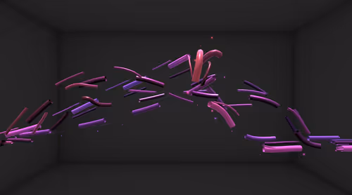 Item #202000080 Media