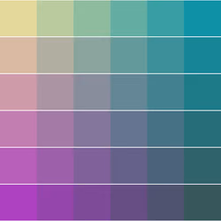 Color Study #937