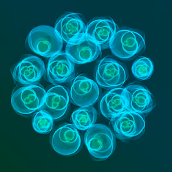 Flowers #4127