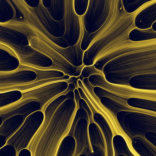 Item #165000281 Media