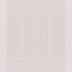 Warp #220