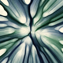 Gravity 12 #0