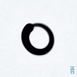 Ensō #451