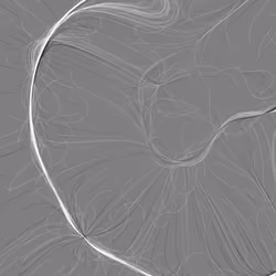 Phototaxis #827