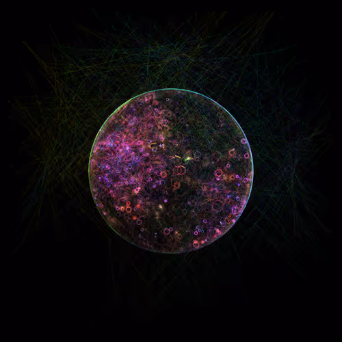 Item #178000812 Media