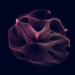 Gravity 16 #664