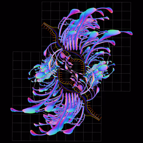 Item #160000526 Media