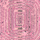 307000204