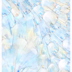 Glass #43