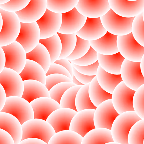 Item #260000004 Media