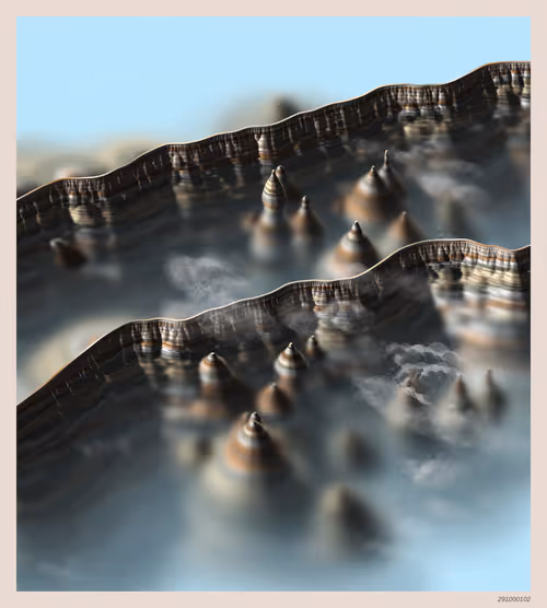 Item #291000102 Media