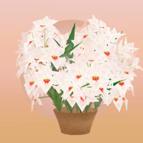 Item #308000233 Media