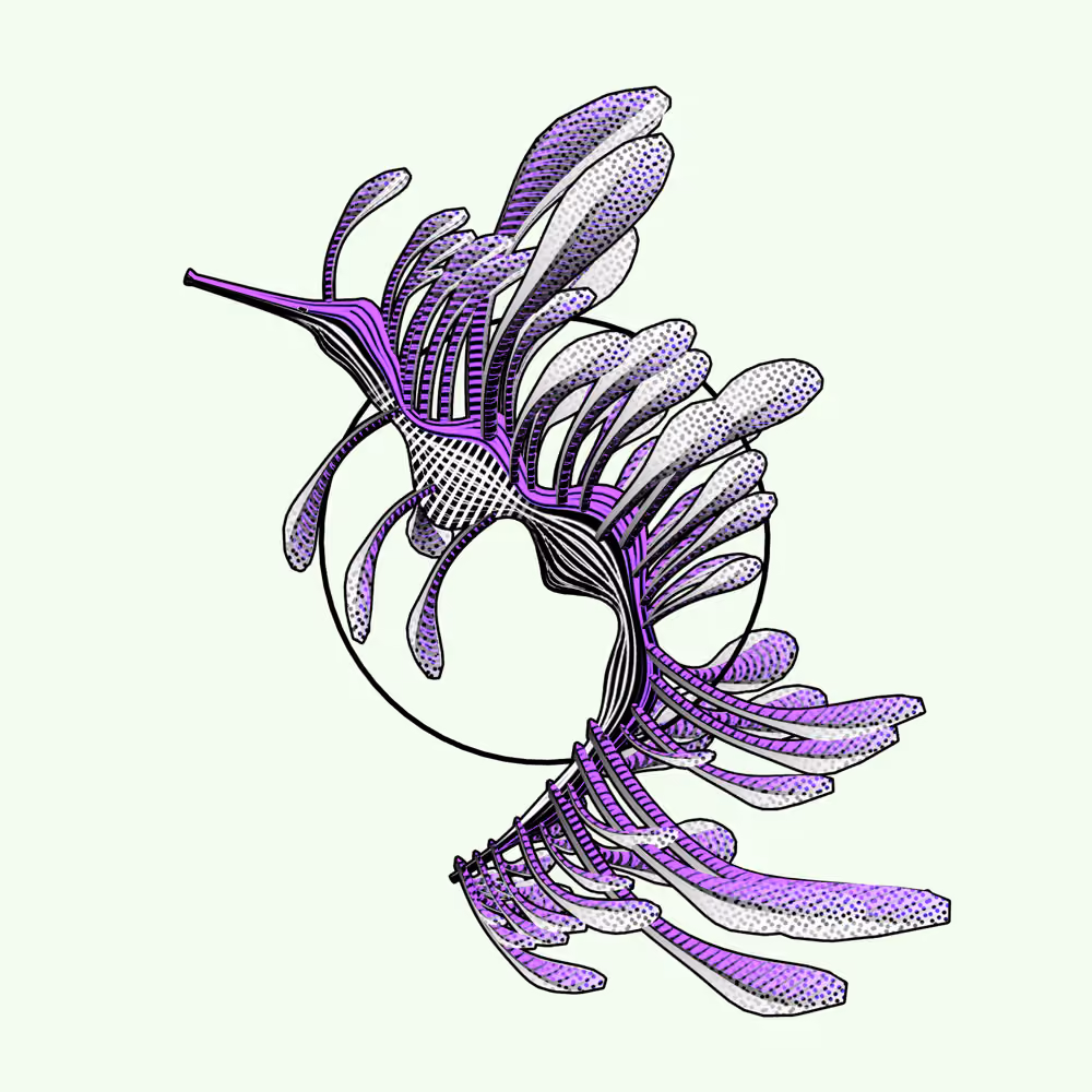 Seadragons #975