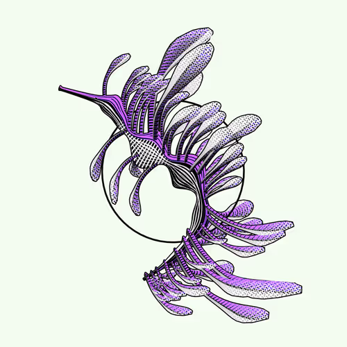 Seadragons #975