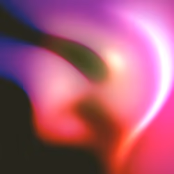 Flux #256