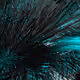 169000636