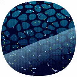 Item #107000010 Media