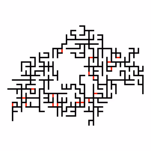 Invasion Percolation #11