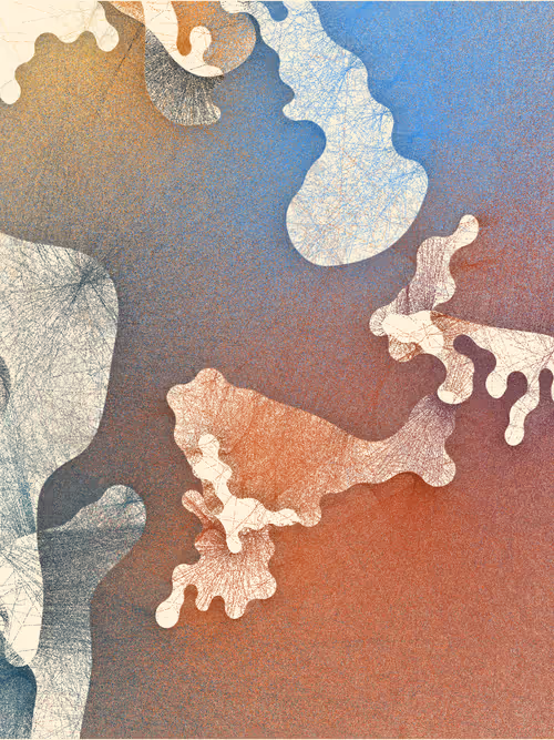 Item #256000280 Media