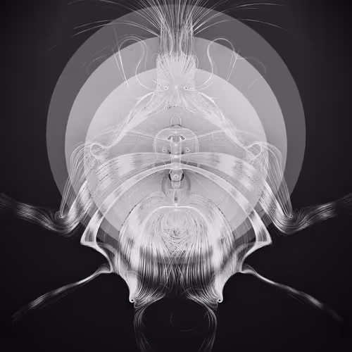 Item #329000277 Media