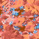 159000544