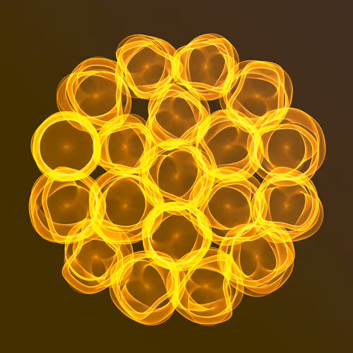 Flowers #6138
