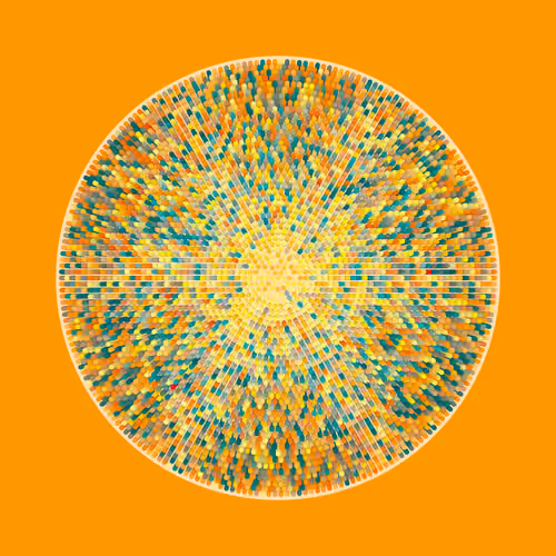 Transitions #3740