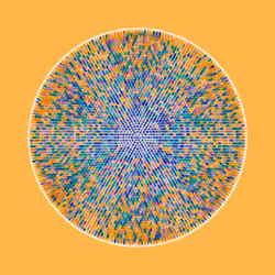 Transitions #2768