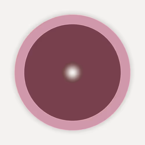 Item #77000045 Media