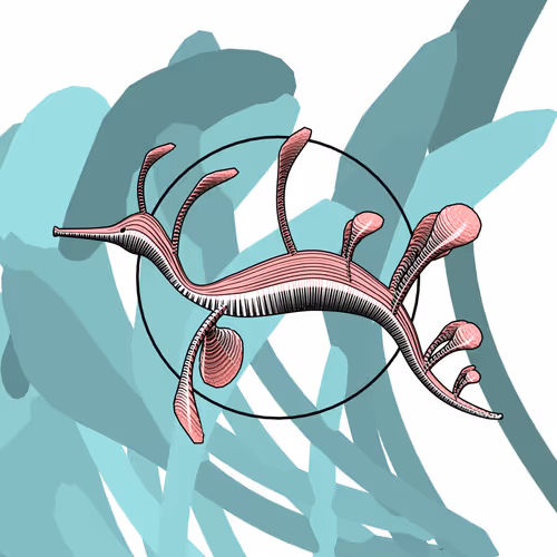 Item #160000246 Media