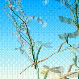 Item #279000006 Media