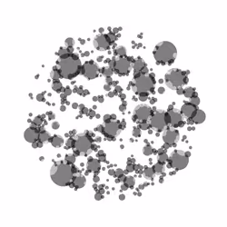 Paramecircle #10