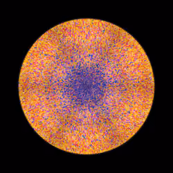 Transitions #551