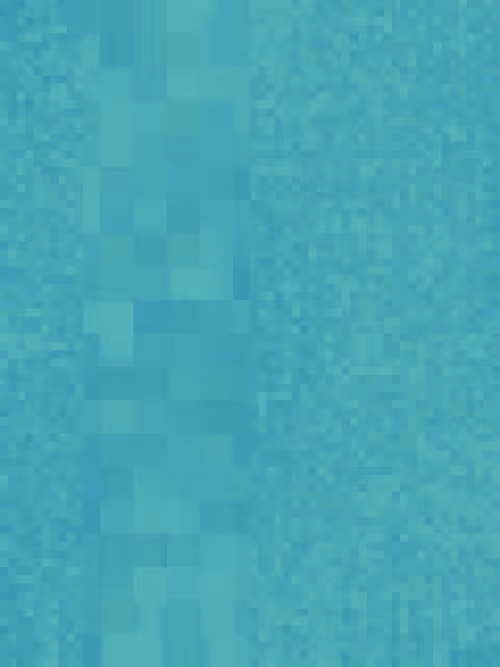 Item #332000182 Media