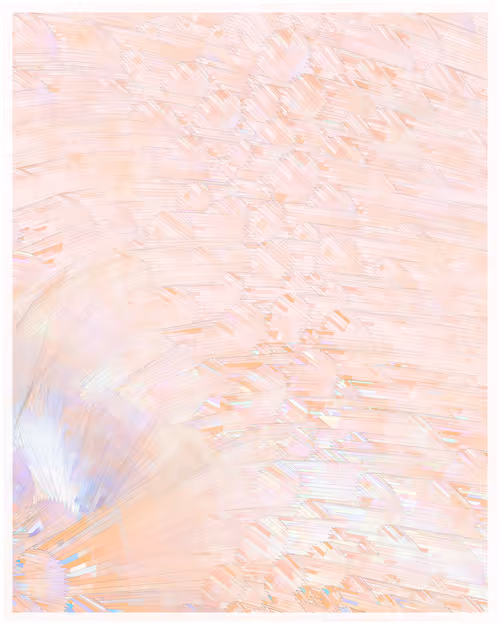 Item #344000101 Media