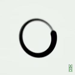 Ensō #736