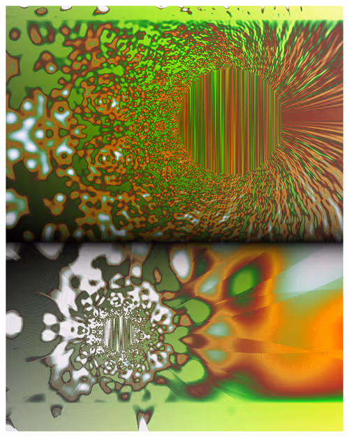 Item #313000124 Media