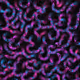 269000105